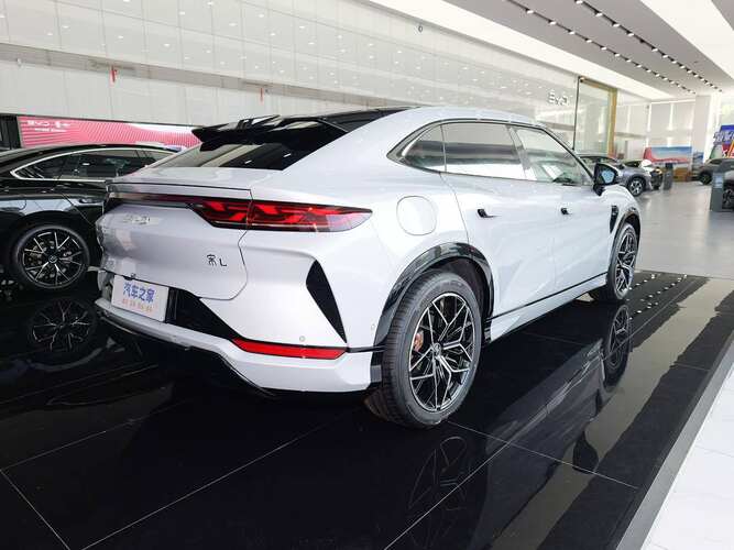 BYD Song L (517)