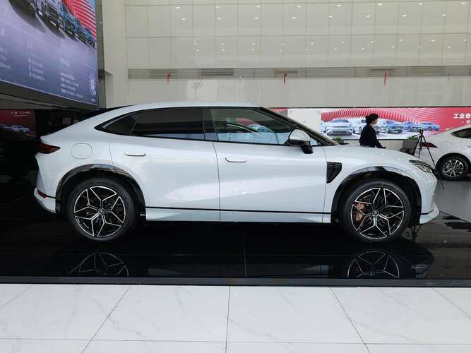BYD Song L (517)